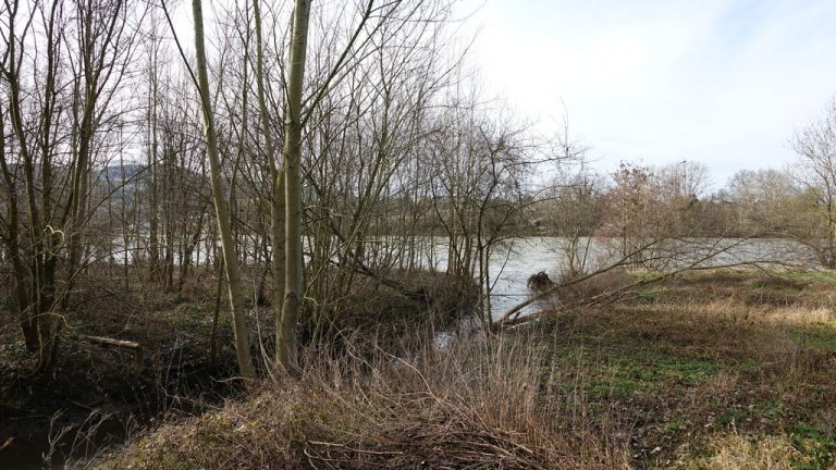 Photo Grand Rieux bord de saone